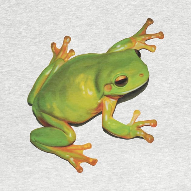 Gorgeous Green Tree Frog. Australian green frog. Cute frog illustration, realistically drawn by PlumpPlumStudio